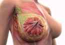 Vnitřní a vnější struktura ženského prsu: norma a abnormality